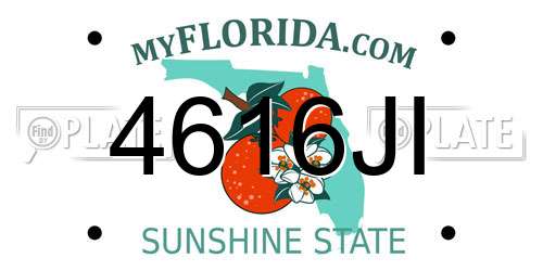 4616JI Florida License Plate