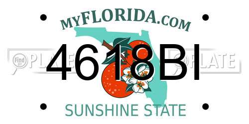 4618BI Florida License Plate