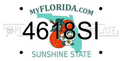 4618SI Florida License Plate