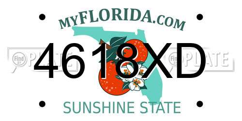 4618XD Florida License Plate