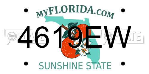 4619EW Florida License Plate
