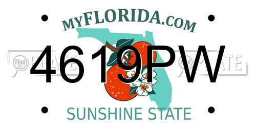4619PW Florida License Plate