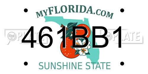 461BB1 Florida License Plate
