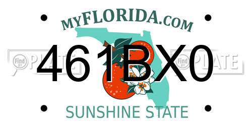 461BX0 Florida License Plate