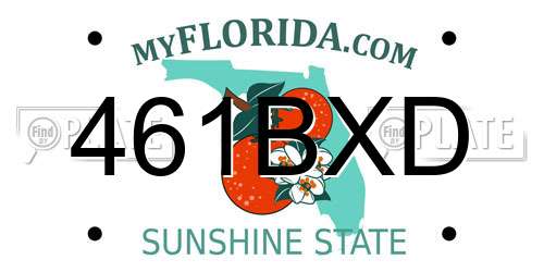 461BXD Florida License Plate