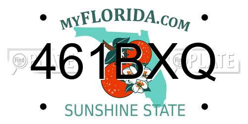 461BXQ Florida License Plate
