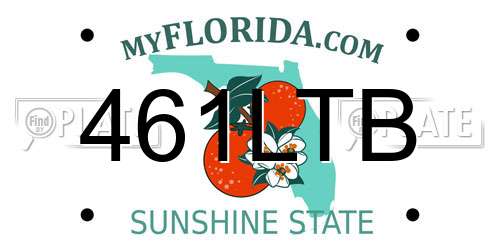 461LTB Florida License Plate