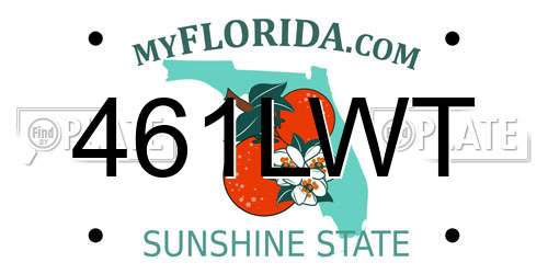 461LWT Florida License Plate