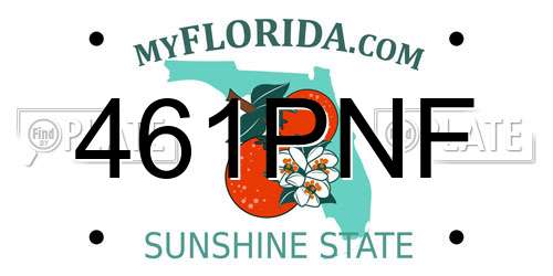 461PNF Florida License Plate