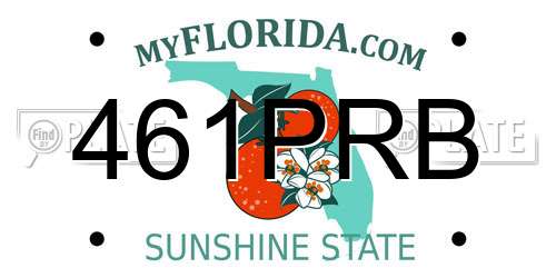 461PRB Florida License Plate