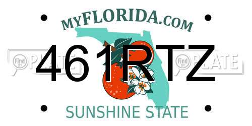 461RTZ Florida License Plate