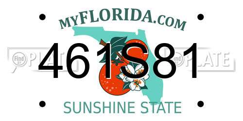 461S81 Florida License Plate