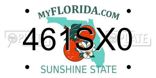 461SX0 Florida License Plate