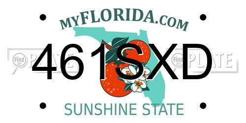 461SXD Florida License Plate