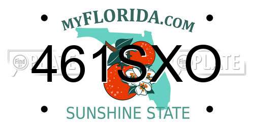 461SXO Florida License Plate