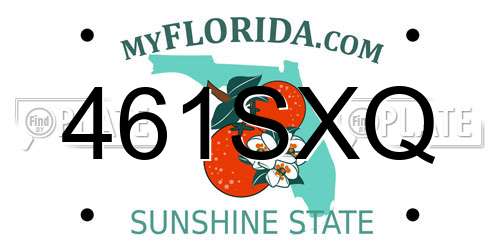 461SXQ Florida License Plate