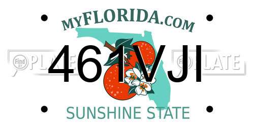 461VJI Florida License Plate