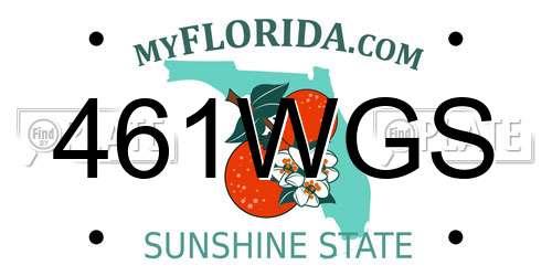 461WGS Florida License Plate