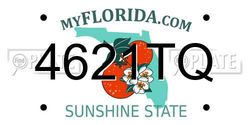 4621TQ Florida License Plate