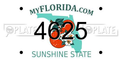 4625 Florida License Plate