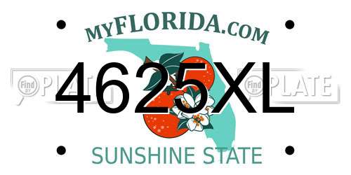 4625XL Florida License Plate