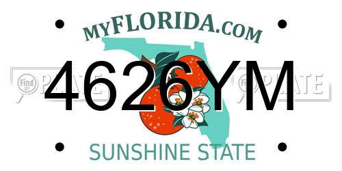 4626YM Florida License Plate