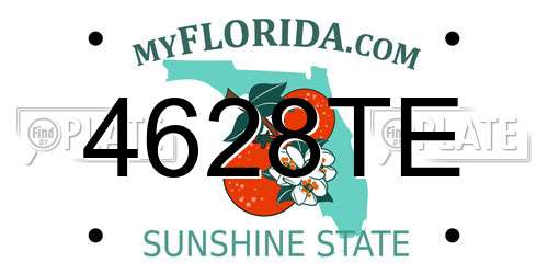 4628TE Florida License Plate
