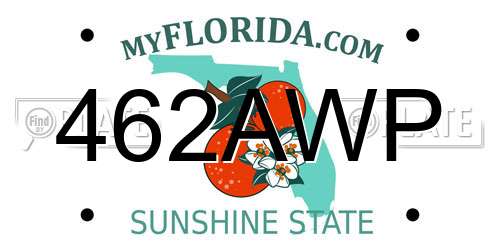 462AWP Florida License Plate
