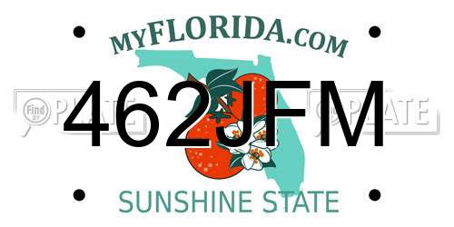 462JFM Florida License Plate