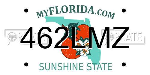 462LMZ Florida License Plate