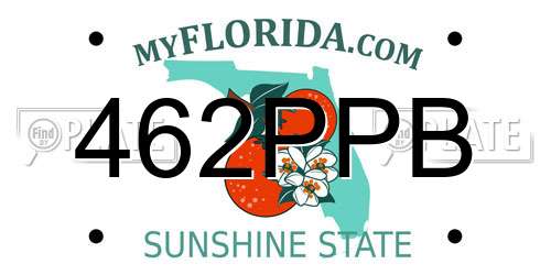 462PPB Florida License Plate