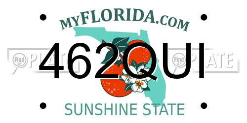 462QUI Florida License Plate