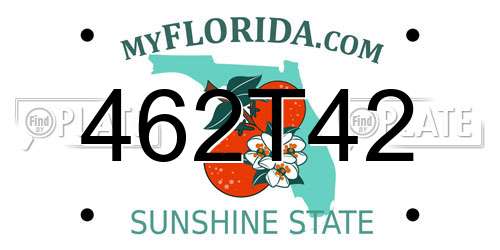 462T42 Florida License Plate