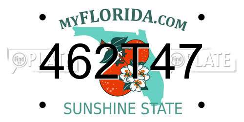 462T47 Florida License Plate