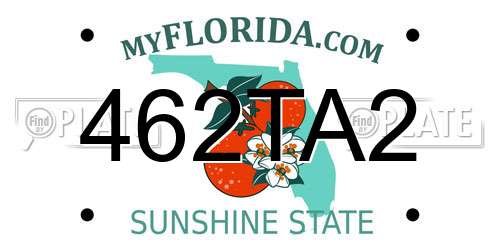 462TA2 Florida License Plate