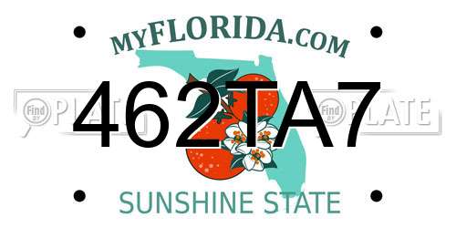 462TA7 Florida License Plate