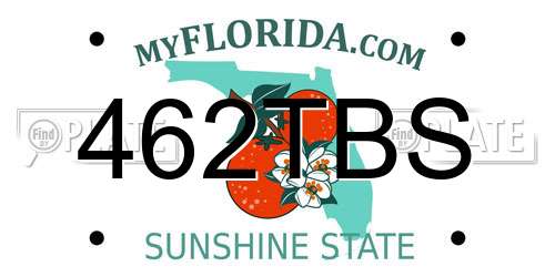 462TBS Florida License Plate
