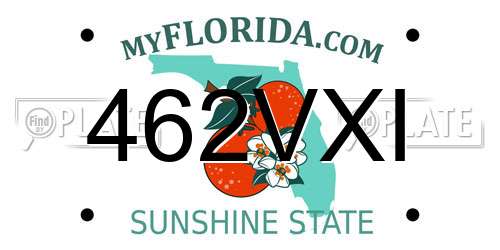 462VXI Florida License Plate