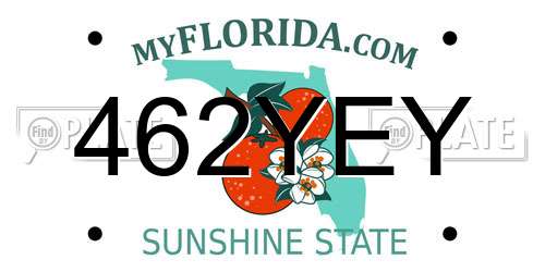 462YEY Florida License Plate