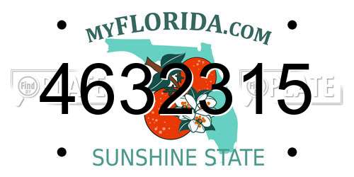 4632315 Florida License Plate