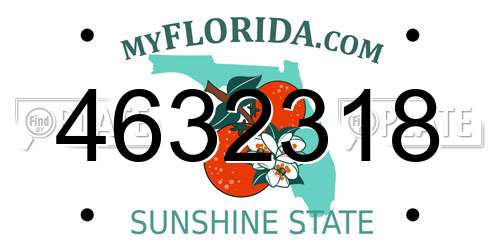 4632318 Florida License Plate