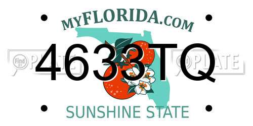 4633TQ Florida License Plate