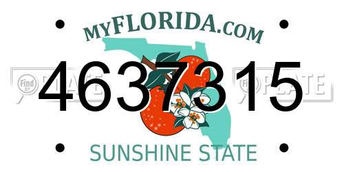 4637315 Florida License Plate