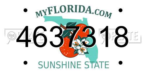 4637318 Florida License Plate