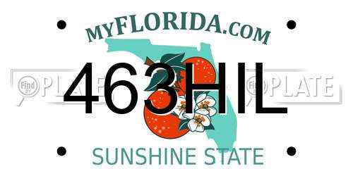 463HIL Florida License Plate
