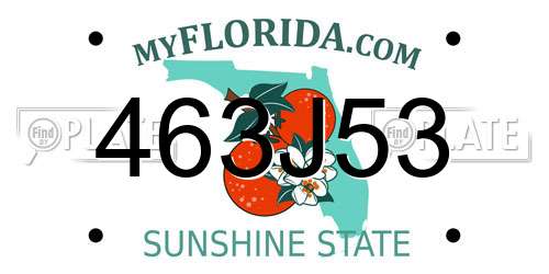 463J53 Florida License Plate