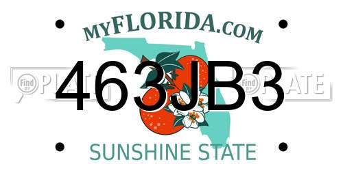 463JB3 Florida License Plate