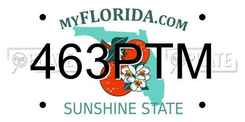 463PTM Florida License Plate