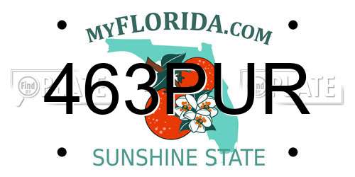 463PUR Florida License Plate