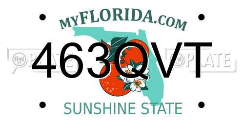 463QVT Florida License Plate